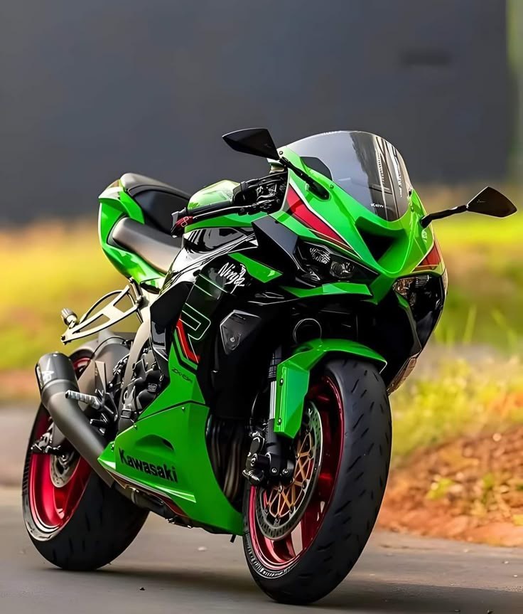 Kawasaki Ninja 🖤 @ten.zx_17 . . #kawasaki #kawasakizx10r