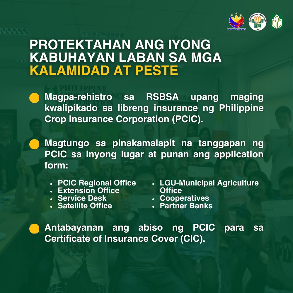 Pcic Msd