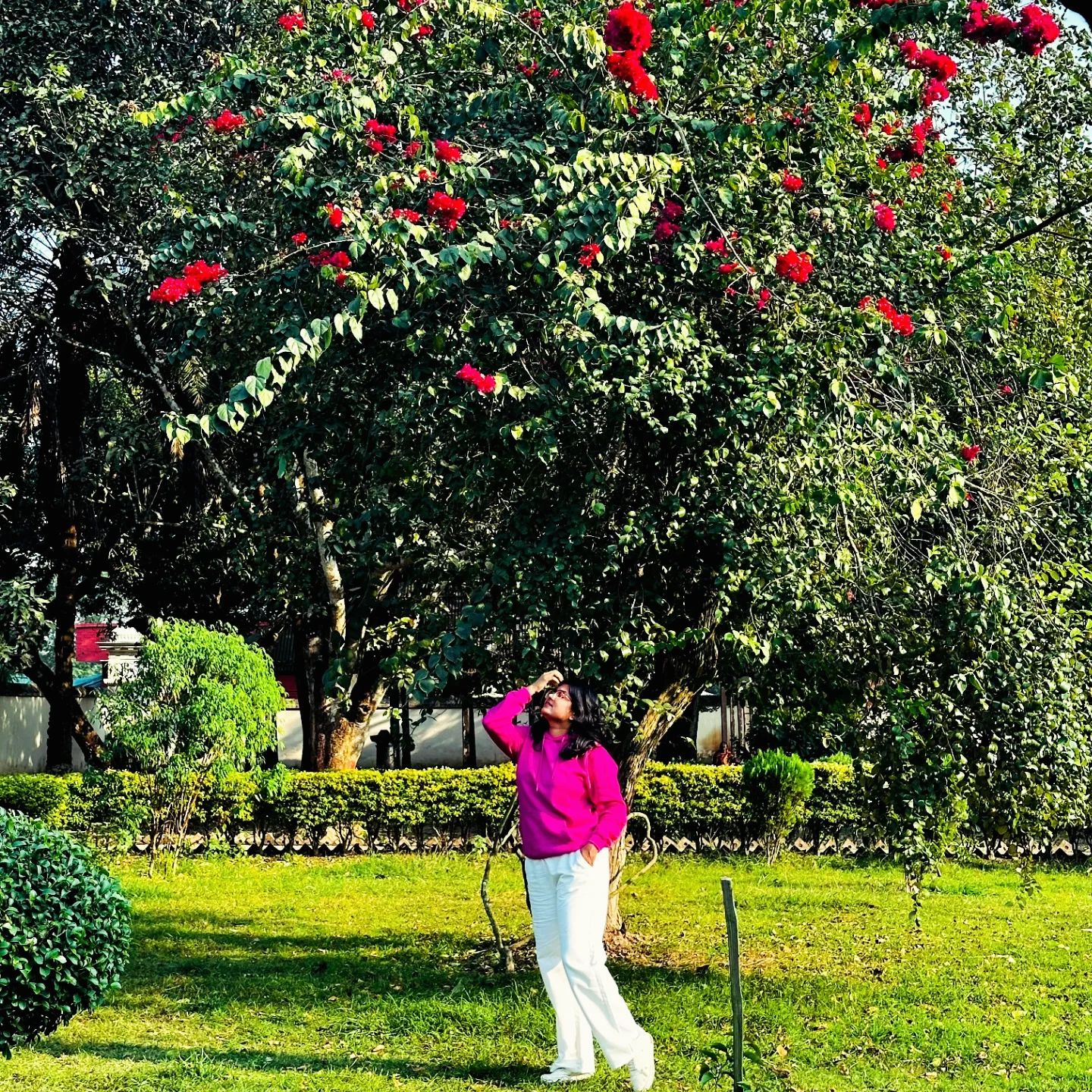 Nipa Rani Roy