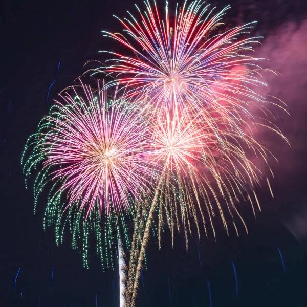 Pigeon - 🎆🎄 Merry & Bright is back at Dollywood! 🎄🎆 Get ready to end ...