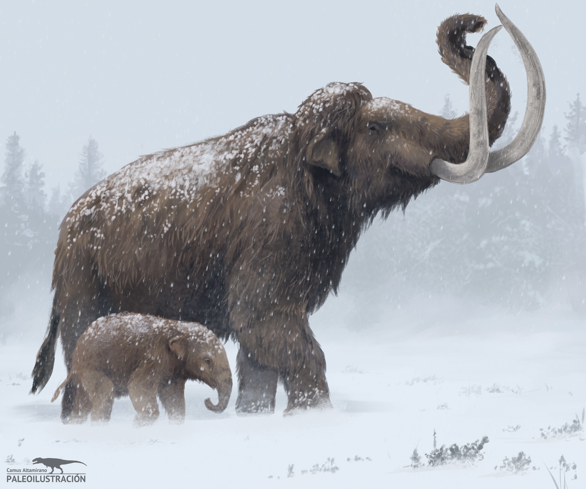 Camus - Mamut lanudo y su cría atravesando una tormenta, 2025 ...