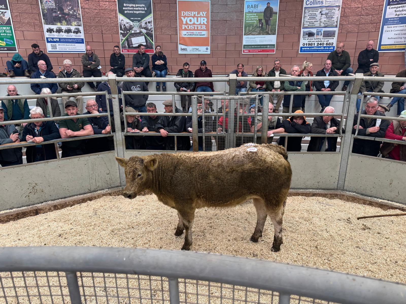 Monmouthshire Livestock... - Monmouthshire Livestock Centre