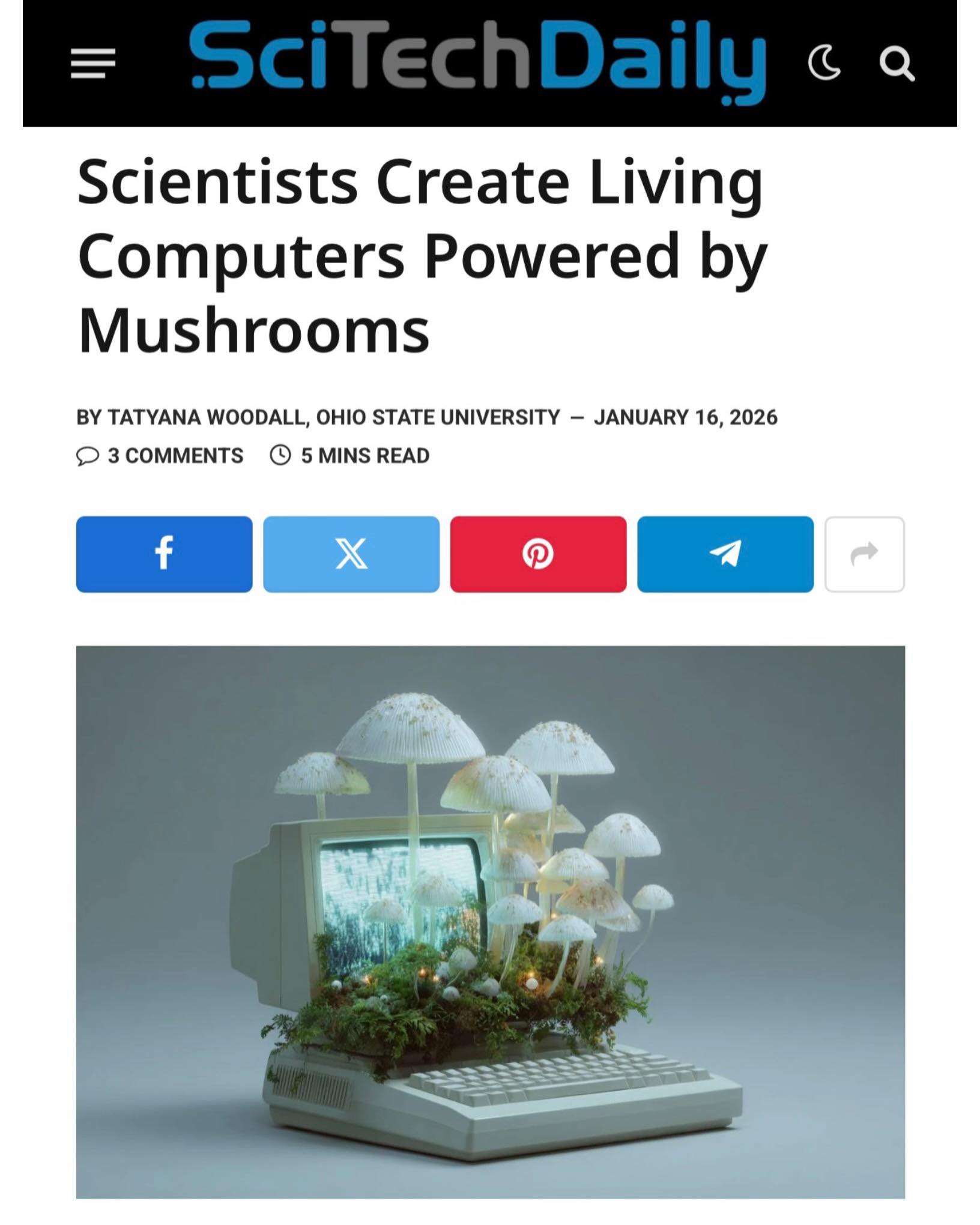 Paul - Fungi have always connected life unseen beneath our feet, now ...
