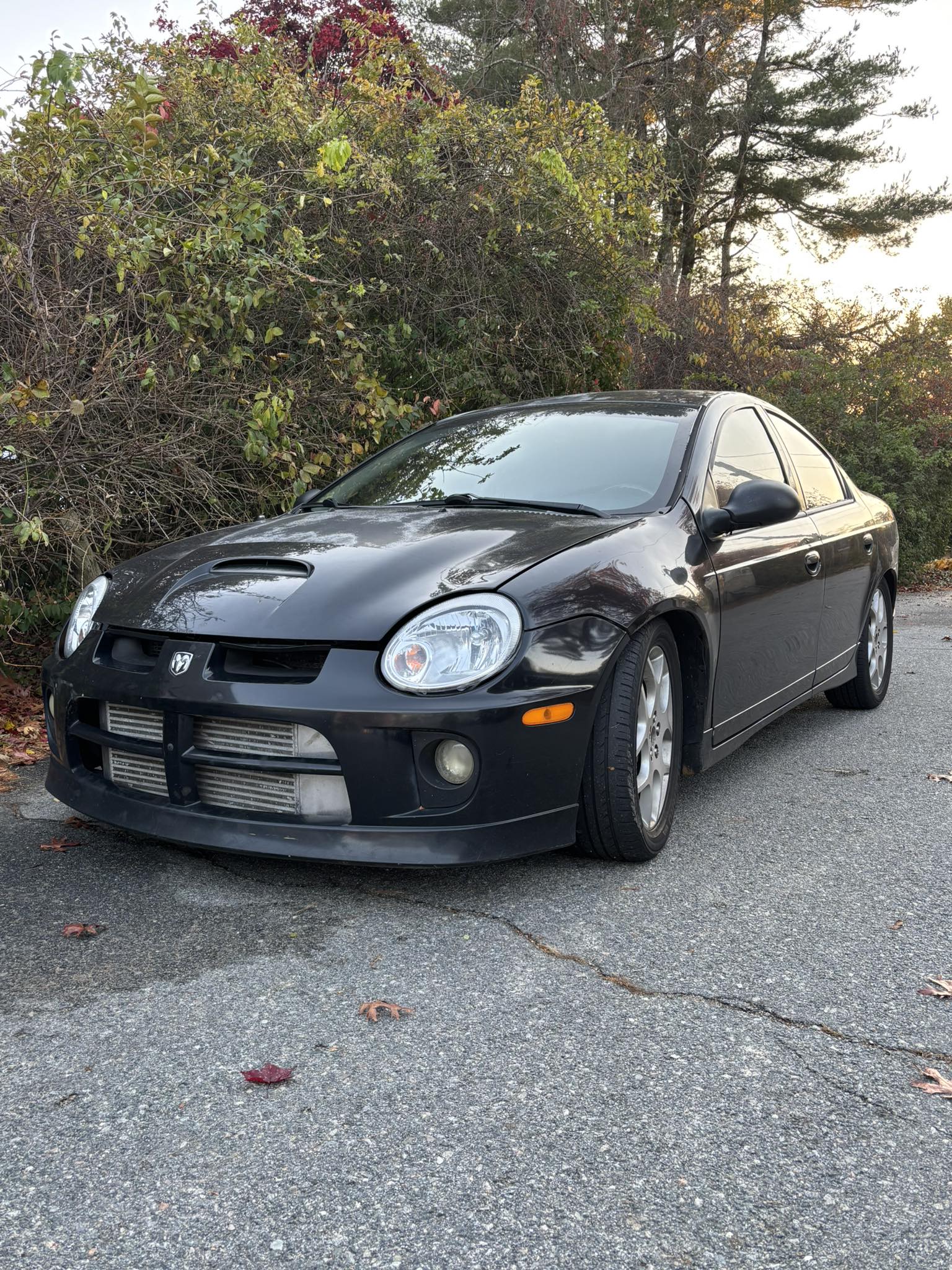 boost box srt4 N2MB Box, 03-05 Neon SRT-4 What's a fair price for