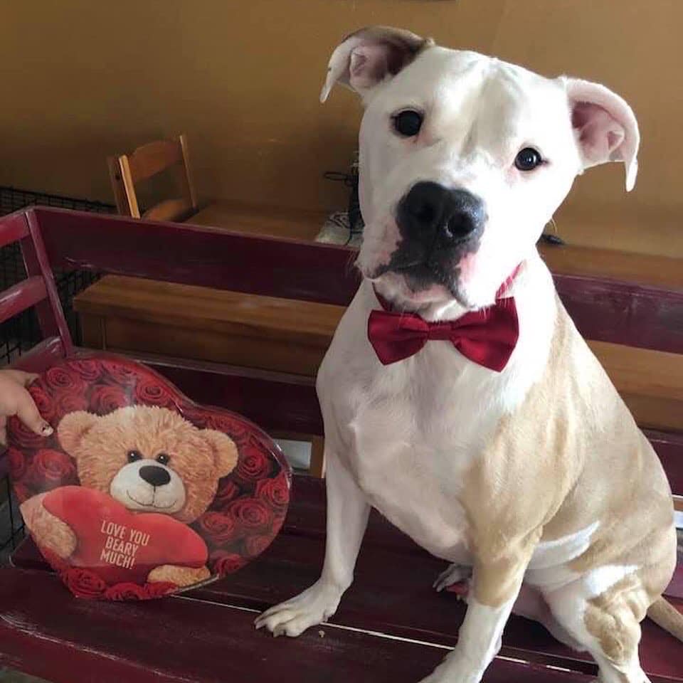 Rex has been working on his... - Live Like Roo Foundation