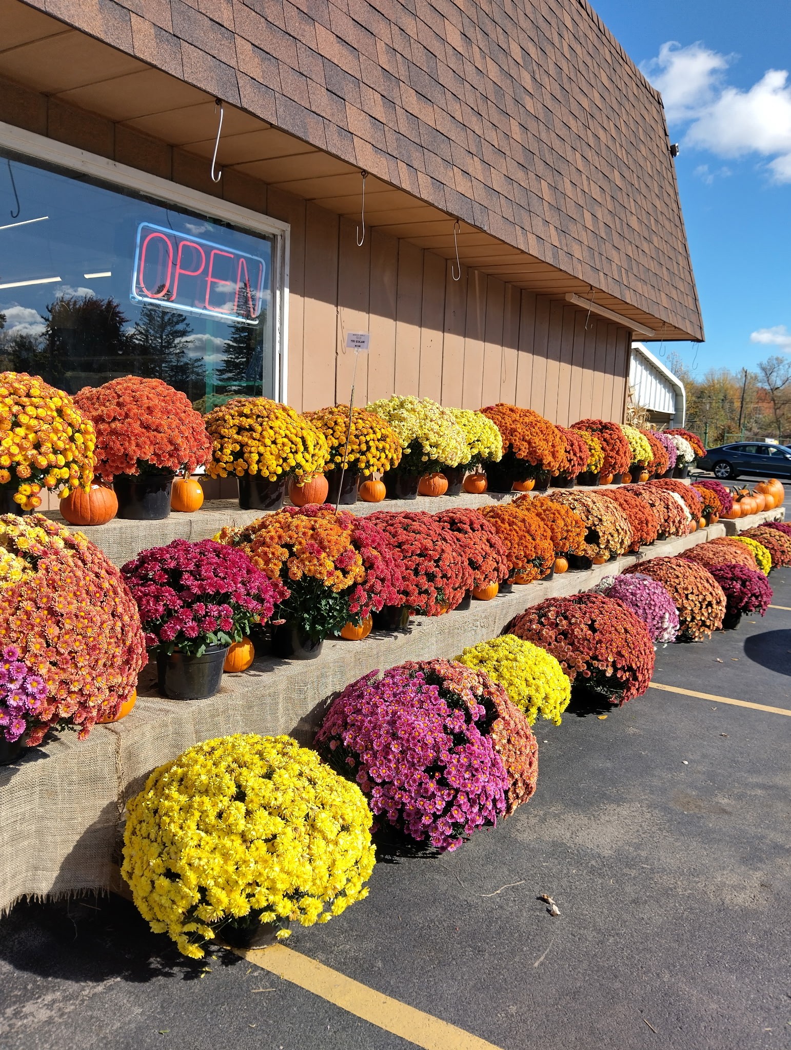 Feed 'N' Seed Inc. | Port Huron MI