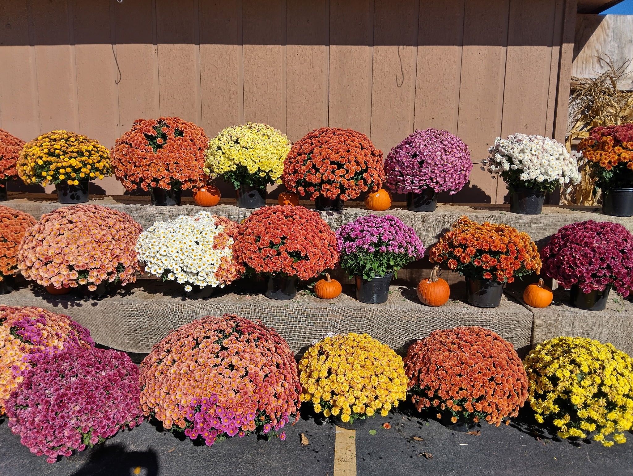 Feed 'N' Seed Inc. | Port Huron MI