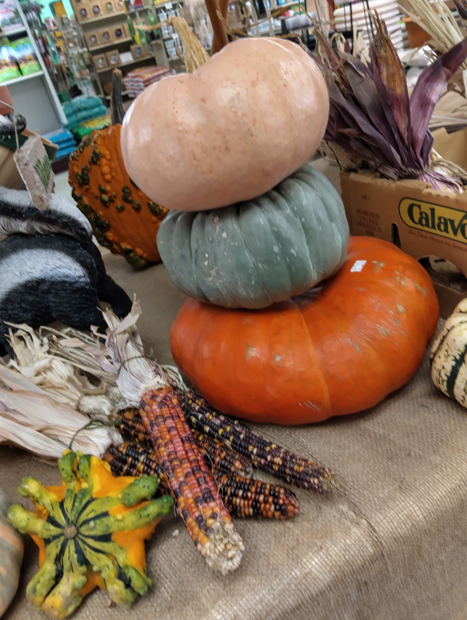 Feed 'N' Seed Inc. | Port Huron MI
