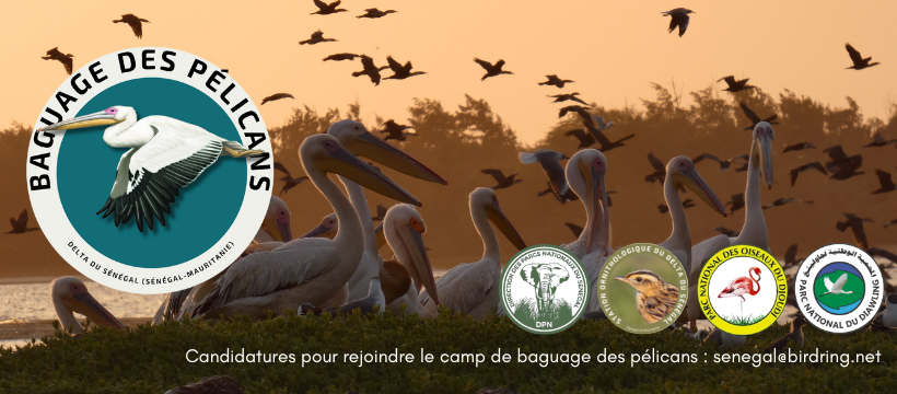 MAHN Museum of Natural History - France-06 - 𝗔 𝟮𝟬𝟭𝟲 𝗘𝘅𝗽𝗲𝗿𝗶𝗺𝗲𝗻𝘁 𝗦𝘂𝗴𝗴𝗲𝘀𝘁𝘀 ...