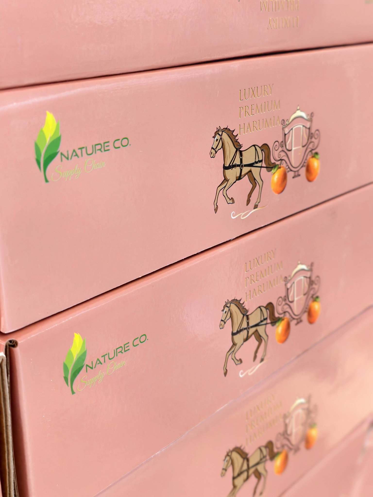 Not all lokam are created... - Nature-Co Supply Chain Sdn Bhd | Facebook