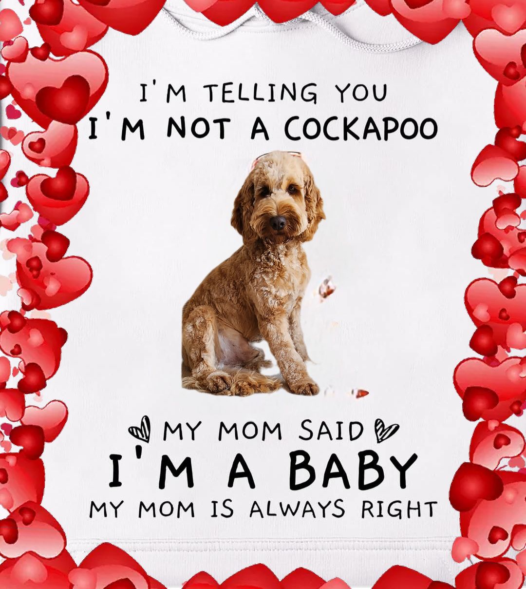 ️Life is better with Cockapoo ️ | Facebook