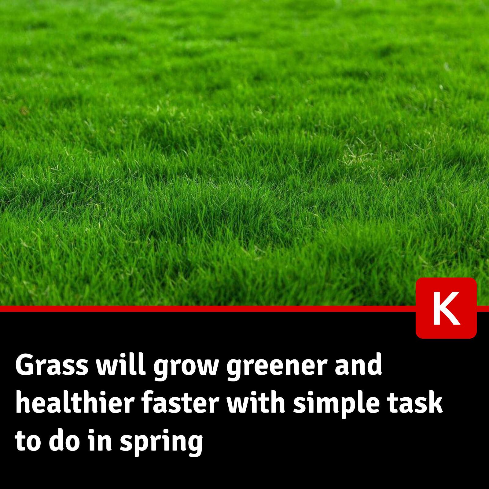 Healthy Lawn Full Website (Copy, 234 selected)
