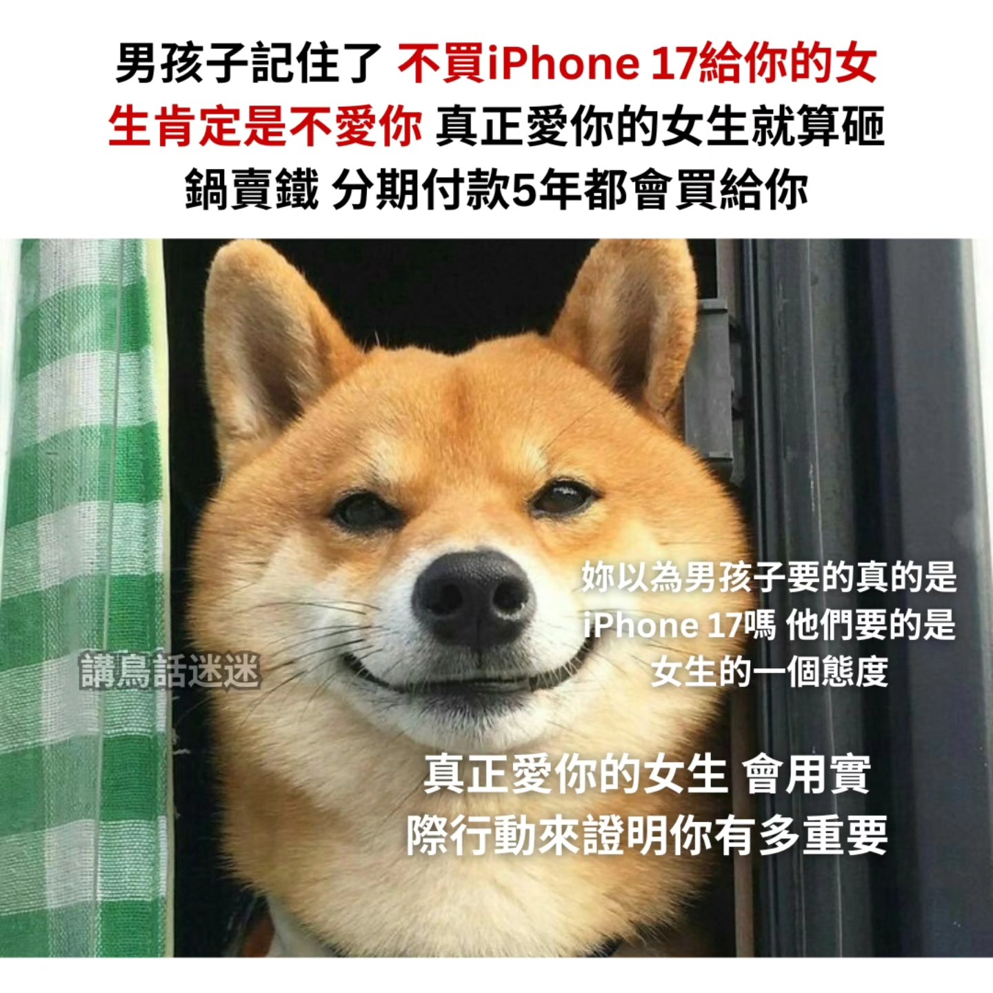 讲鸟话迷迷 - 好熟的台詞 IG: birdtalkmeme . . #梗 #梗圖 #梗图 #梗圖系列 #梗图系列 #梗圖大全 #梗圖推推 ...