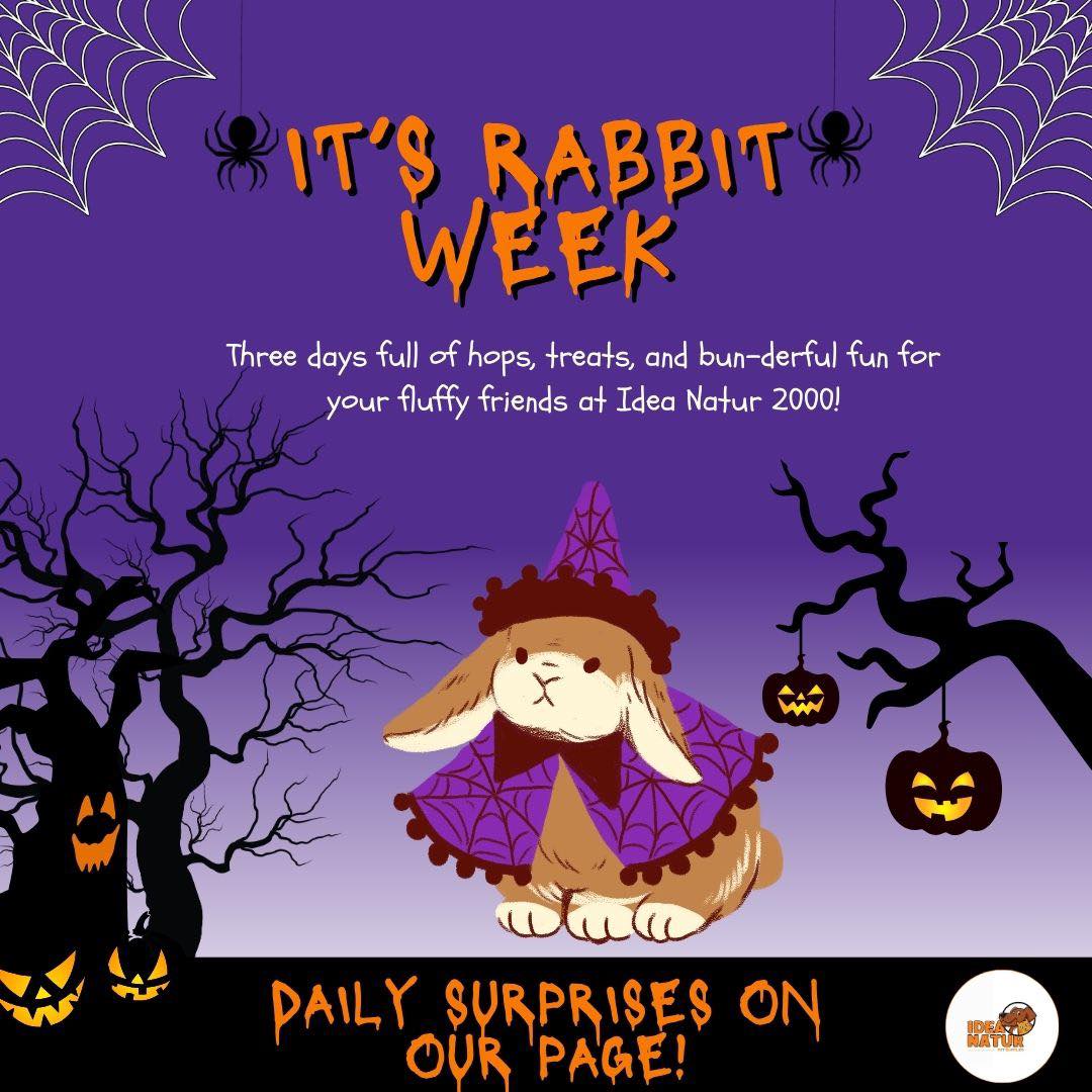 Idea - 🐰 RABBIT LOVERS — this one’s for you! Spend just €10 in-store ...