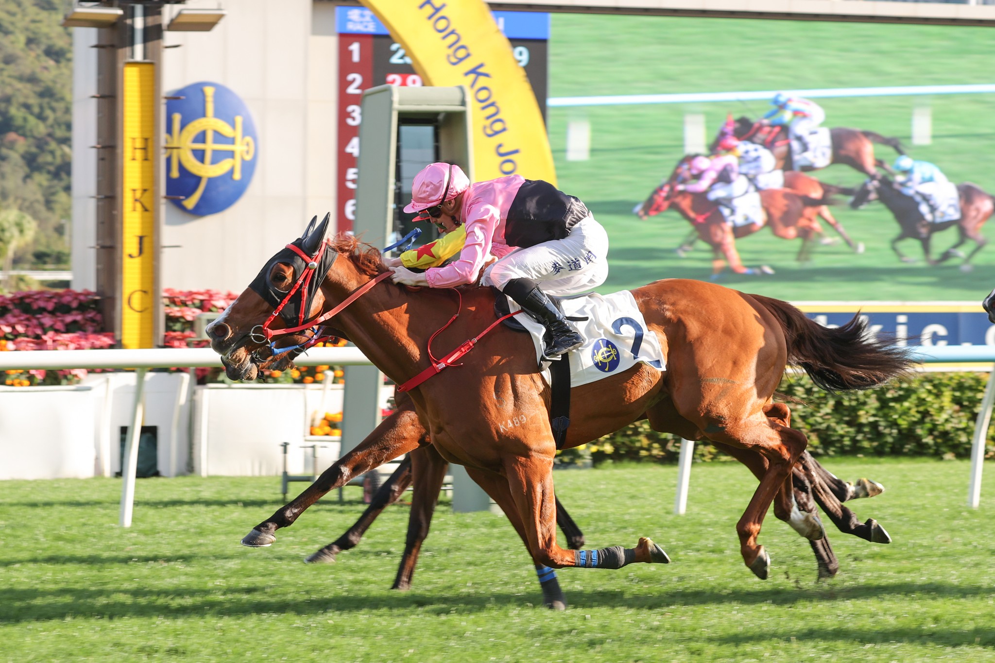 HKJC Racing - HKJC Racing added a new photo.