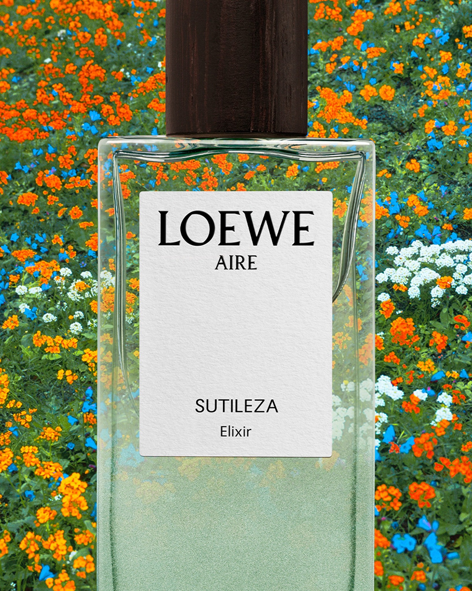 Loewe Aire Sutileza Elixir eau de parfum at Holt Renfrew