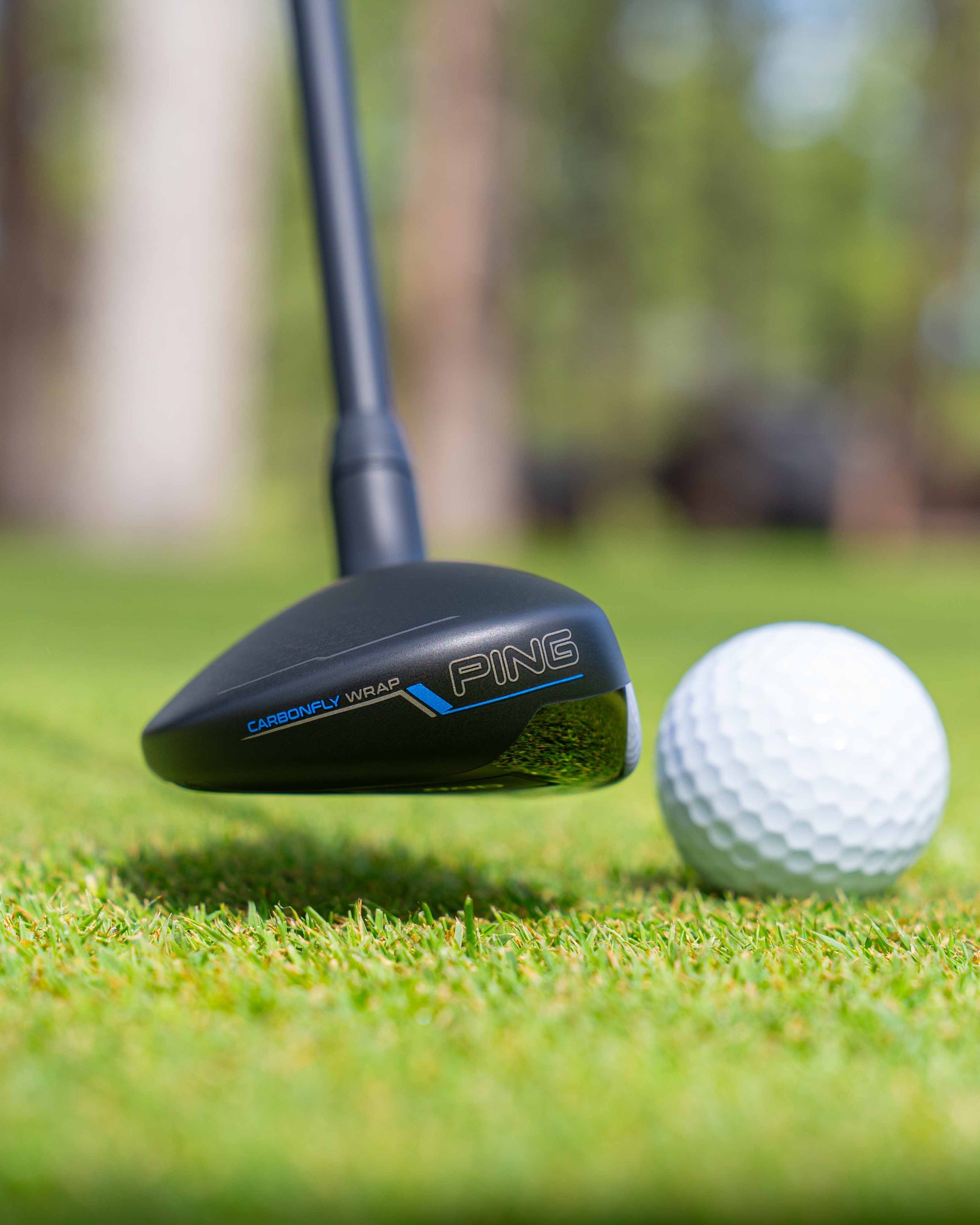 PING Canada | Oakville ON