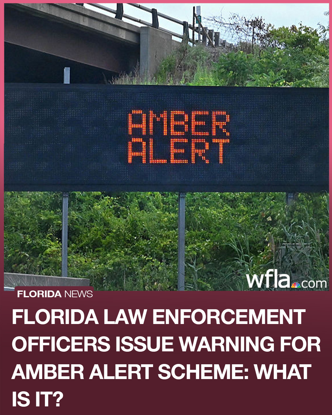 The Florida Department of Law... - WFLA News Channel 8 | Facebook