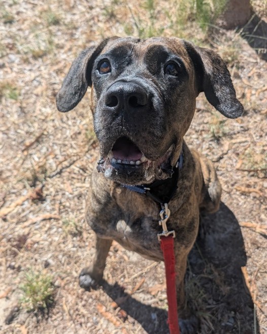 RSPCA WA - RSPCA WA added a new photo — at Sir James...