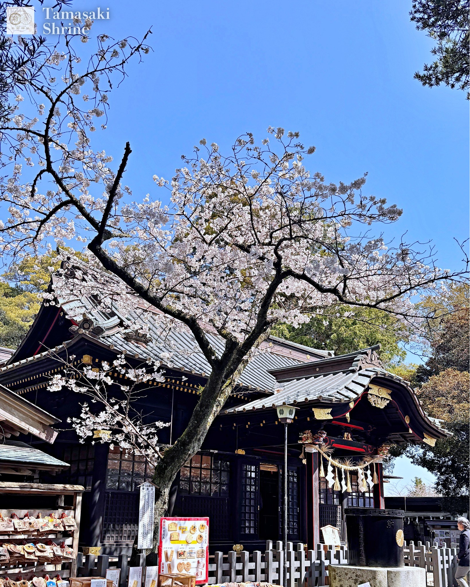 玉 前 神社