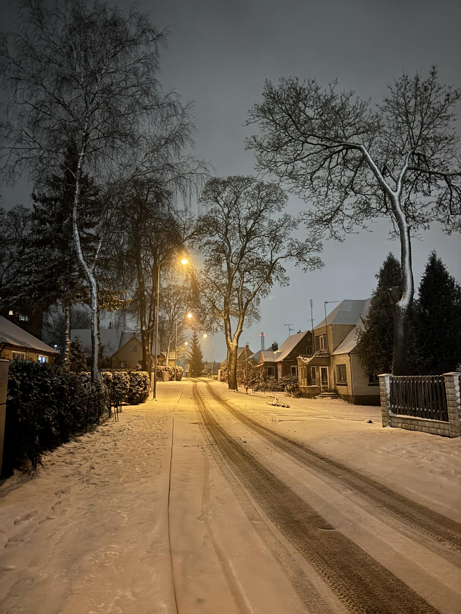 Urte Kuliavaite
