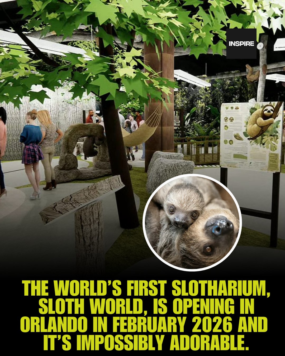 Inspire - Meet the world’s first slotharium: Sloth World... | Facebook