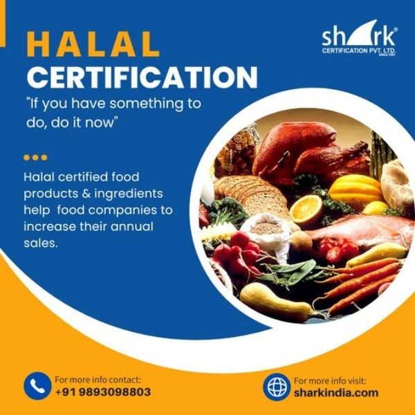 Shark - Top 10 Halal Certification Provider in Indore Shark ...