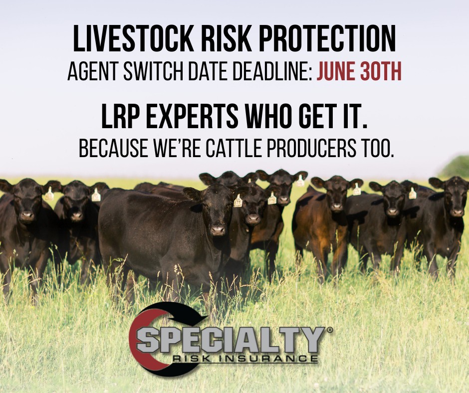 Specialty Risk Insurance | Carthage MO