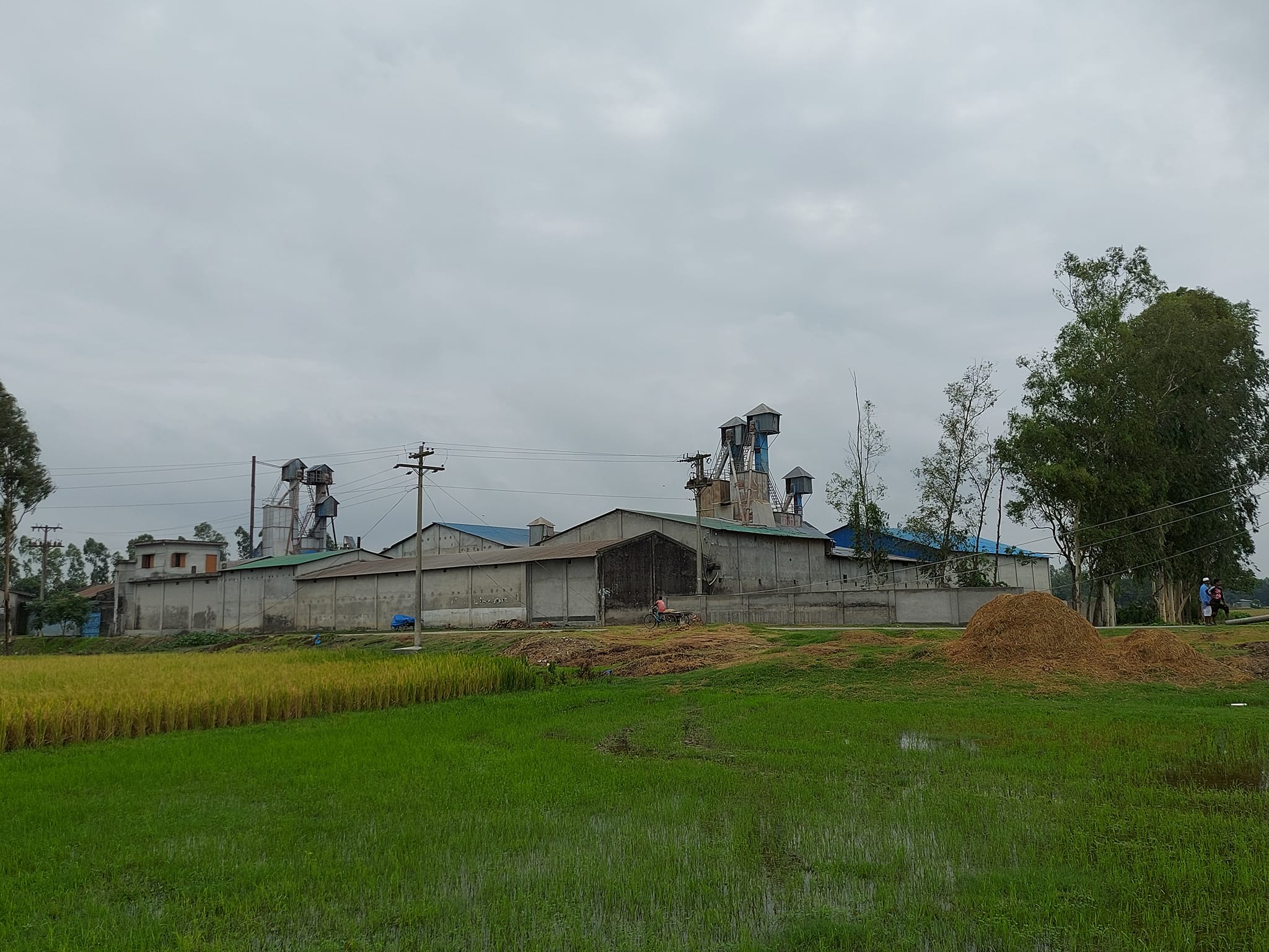 মেসার্স জামাল অটো রাইস মিল - M/S Jamal Auto Rice Mill | Dinajpur