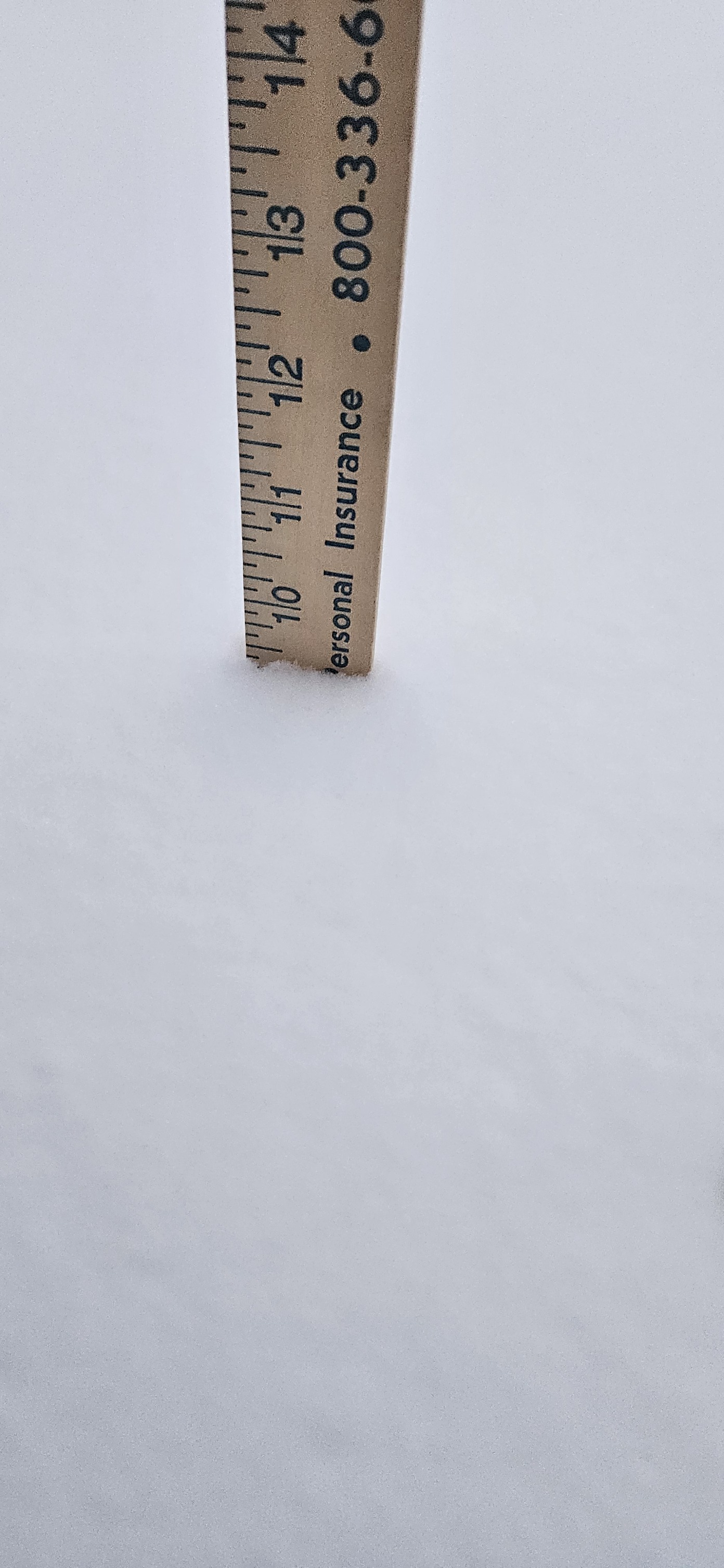 Hutch - And... DROP THOSE TOTALS HERE... Remember, use a ruler and take ...