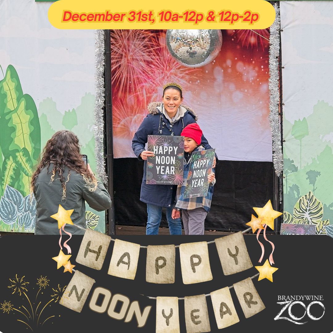 New Year's Eve celebrations began early in Salisbury as the zoo