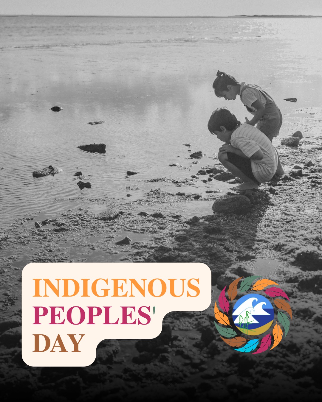 Project - Indigenous Peoples' Day is a significant holiday that ...