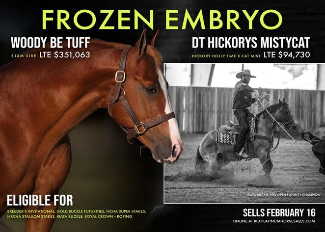 Performance - 105 • FROZEN EMBRYO- WOODY BE TUFF Embryo by Woody Be ...