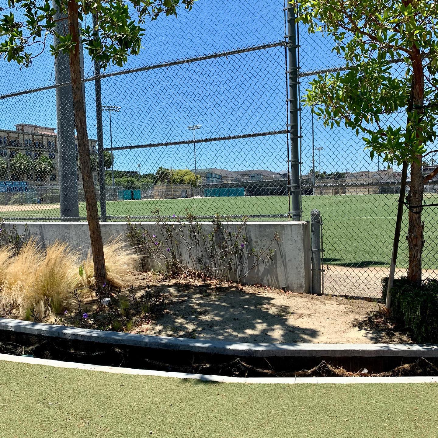 Camino Nuevo High School -Miramar Campus | Los Angeles CA