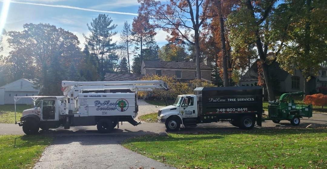 ProCare Tree services | Auburn Hills MI