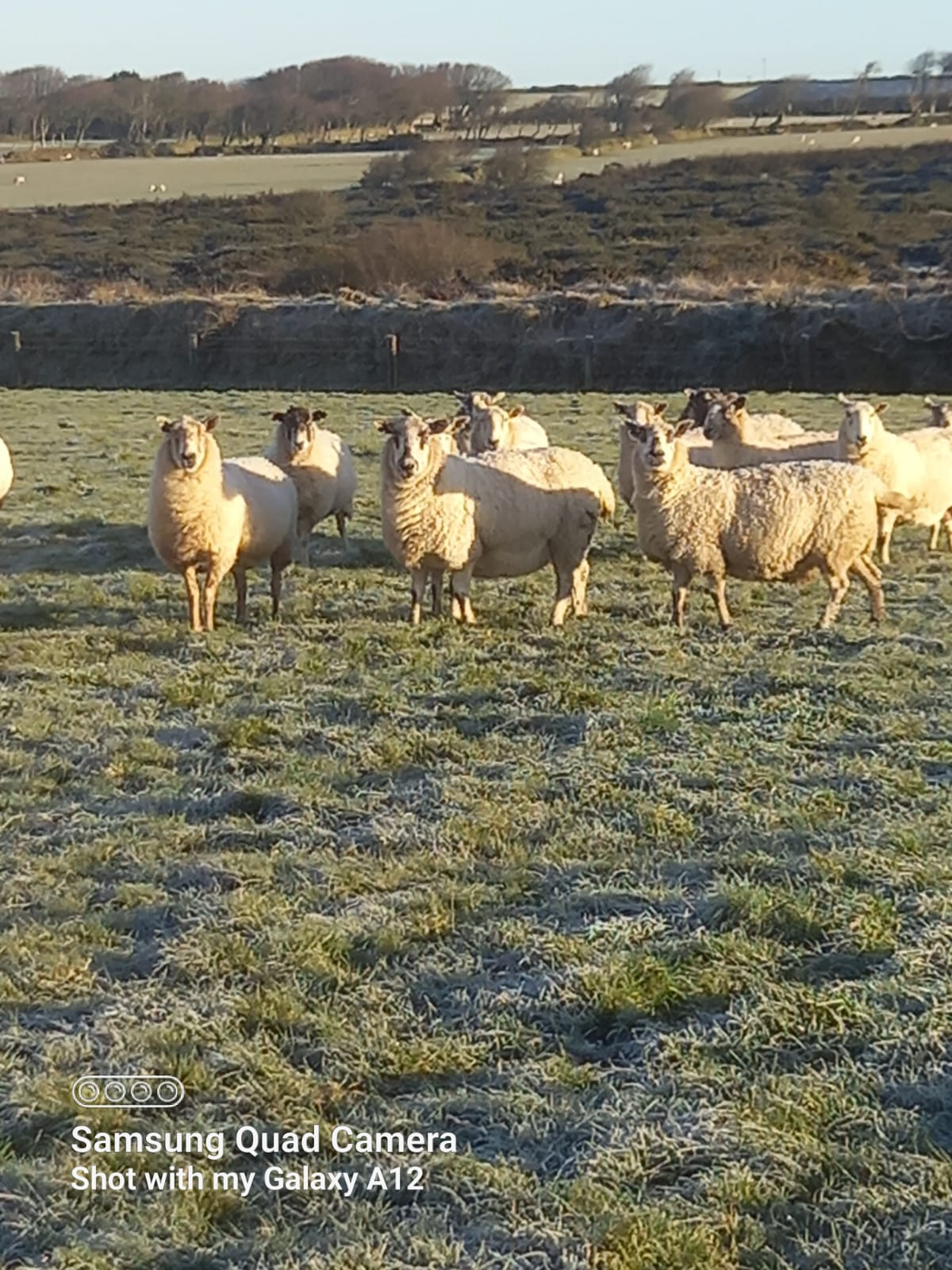 GTH - FARM FRIDAY 🚜👩‍🌾 Rushton Farm offers the opportunity to purchase ...