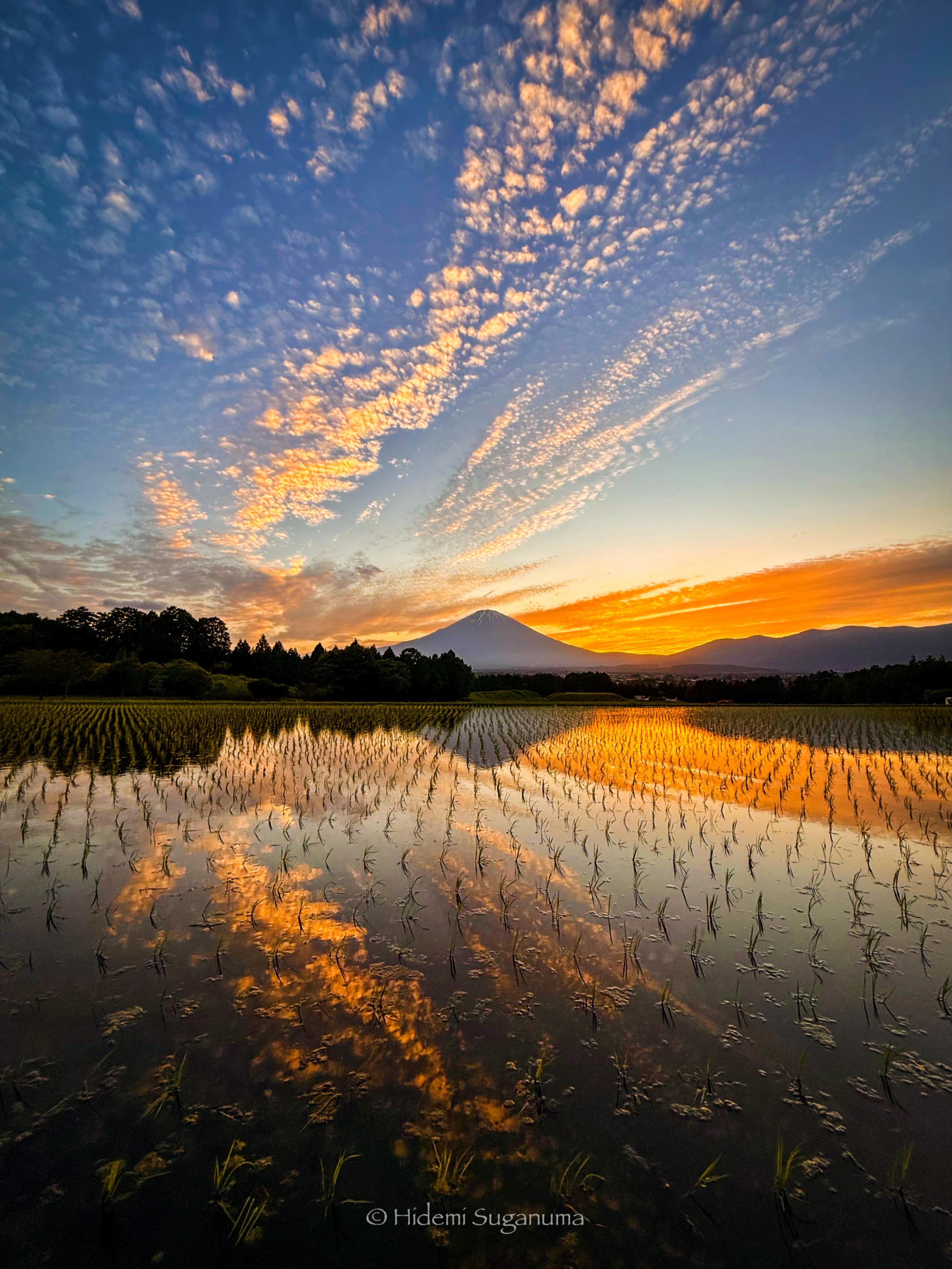 富士山麓季節風景｜FUJIYAMA DAYS. (@FUJIYAMA.DAYS) • Facebook