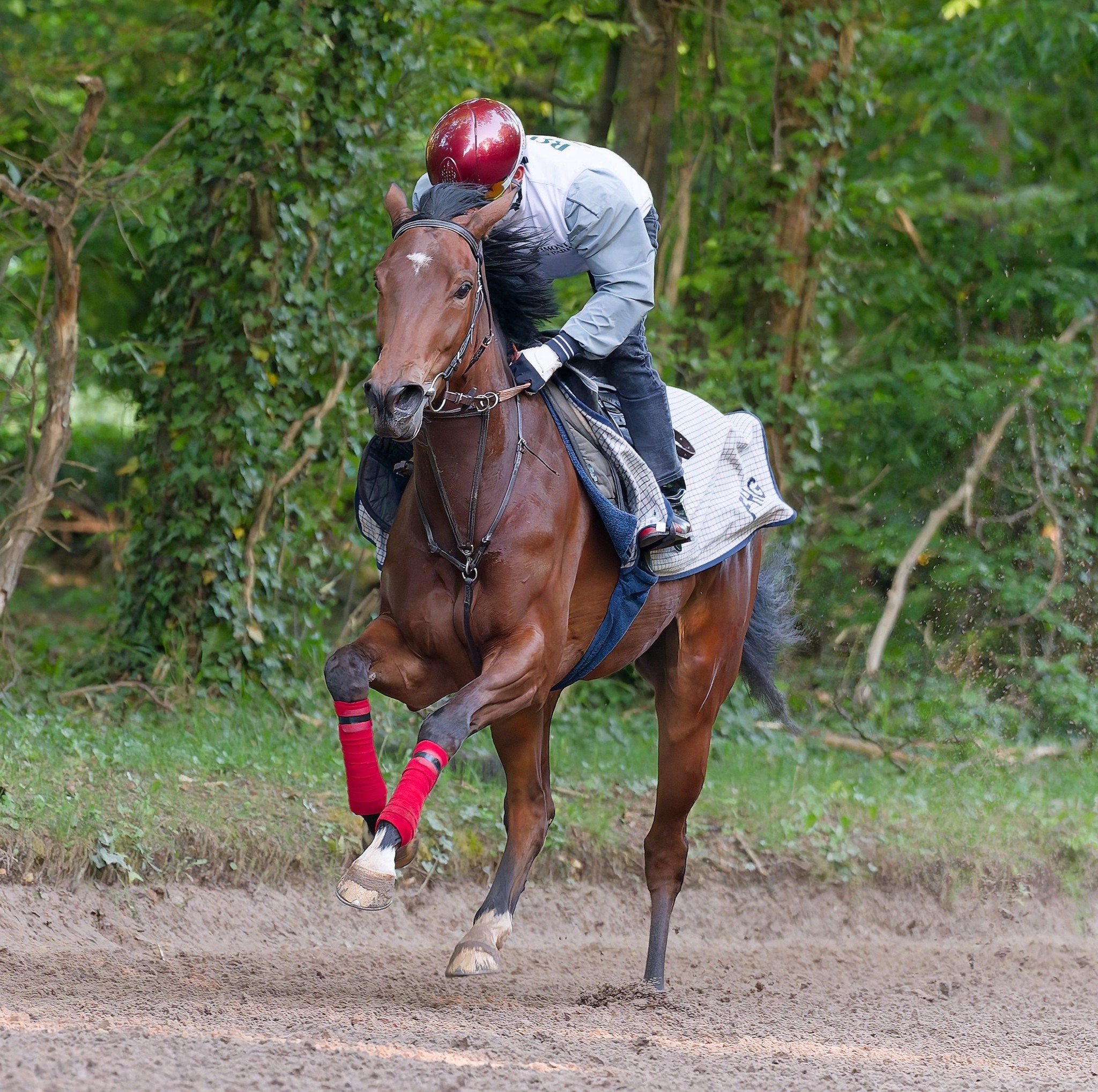 Mon petit Julian qui bat ses rivaux.💚🏇🏻 | Iván Salvador Nayra