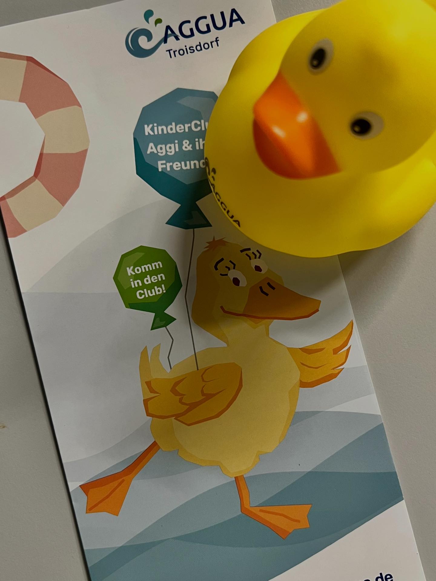 🐥 Tag der Quitscheenten 🐥 Heute feiern wir die wohl fröhlichste Ente der Welt – und bei uns hat sie sogar einen Namen: AGGI! 💛 Als unser Maskottchen sorgt AGGI nicht nur