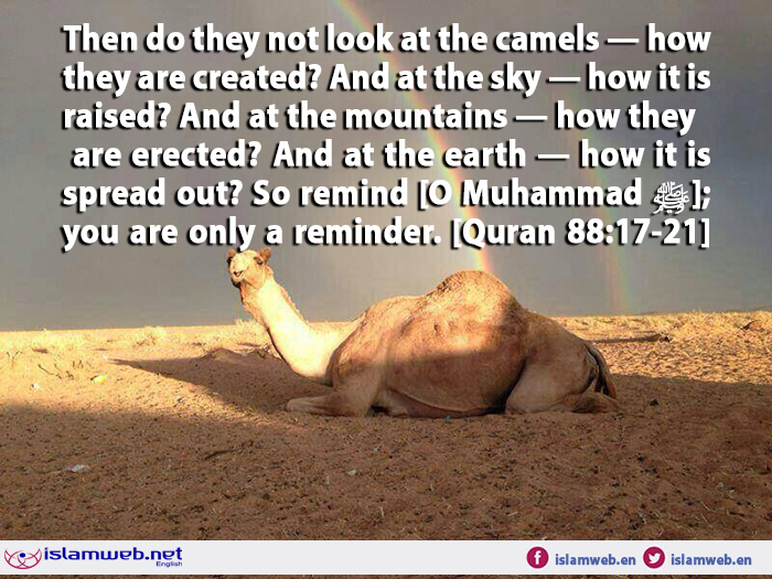 islamweb - {Then do they not look at the camels — how they are created ...