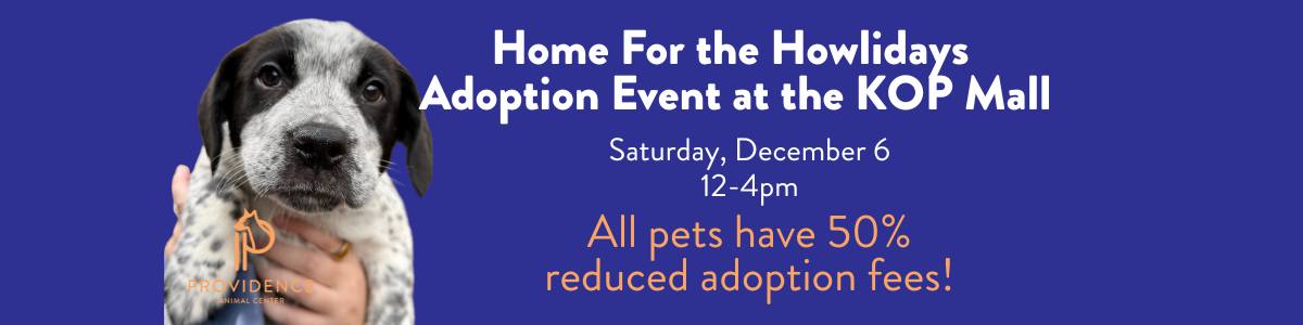Home For The Howlidays Adoption Event