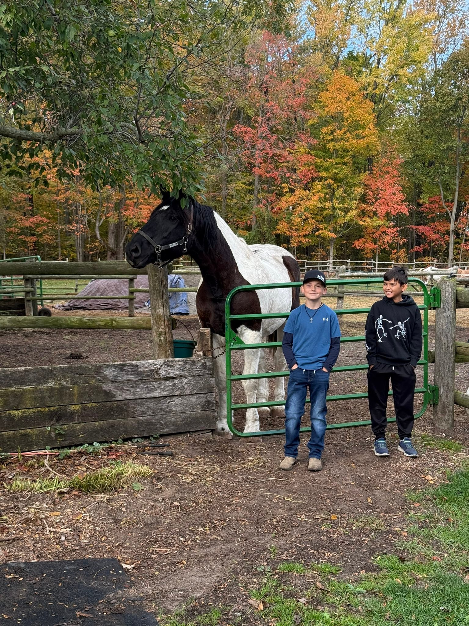 Carousel Stables added a new photo — at... - Carousel Stables