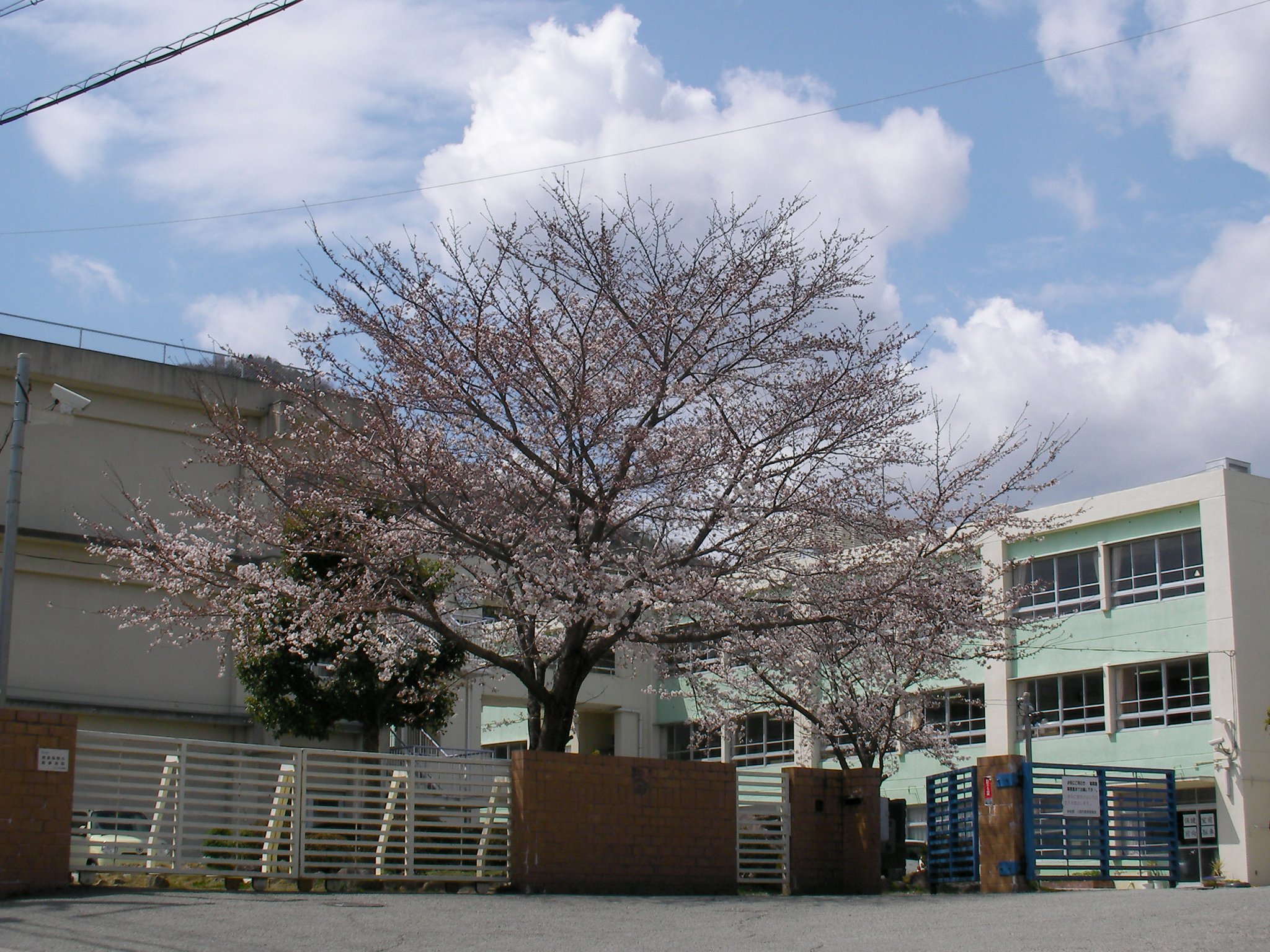 川西 市立 清和 台 中学校