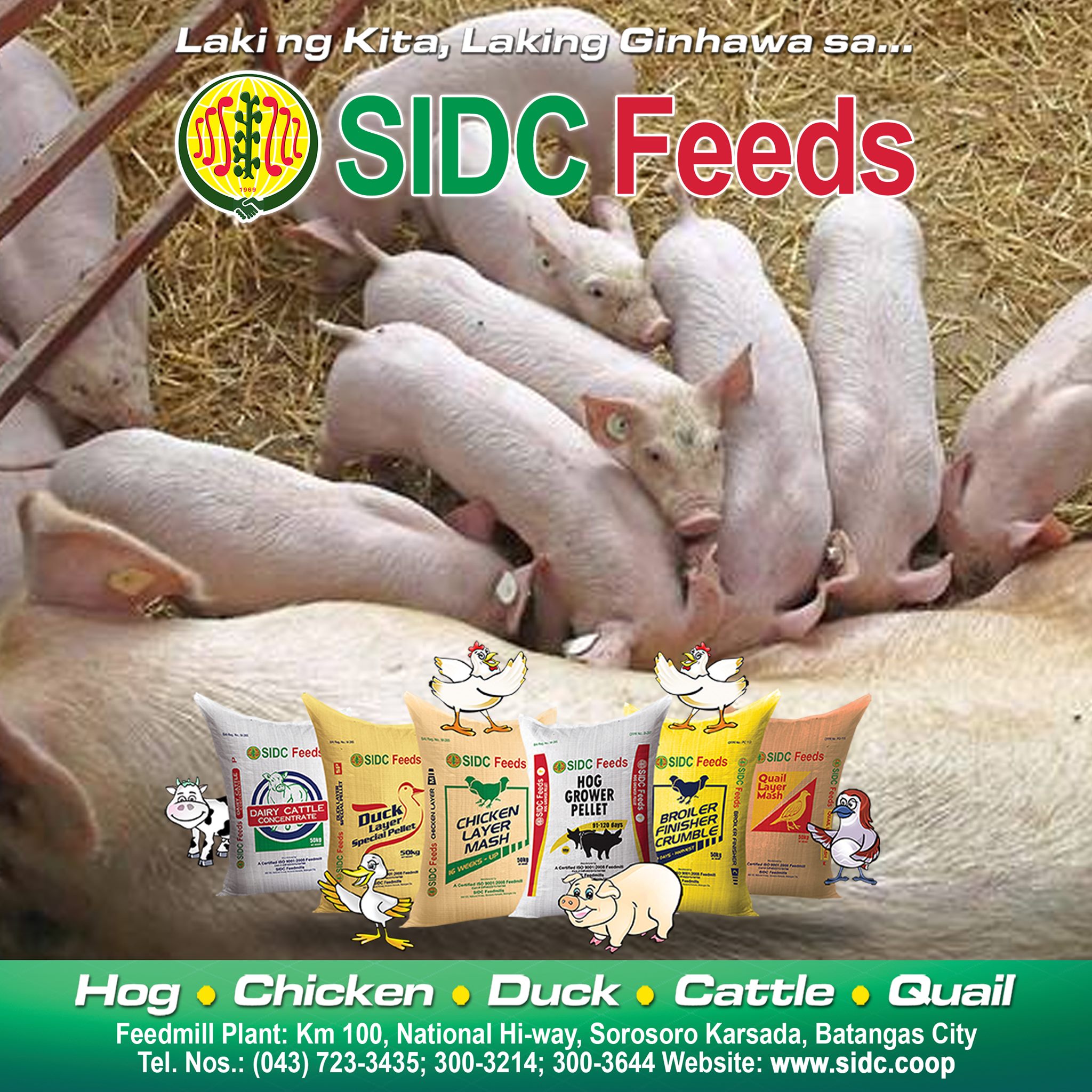 SIDC One Stop Shop Alabat | Alabat