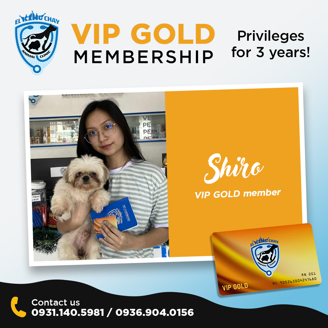 El - 🎉 WELCOME TO VIP GOLD, SHIRO! 🎉 We’re excited to officially ...