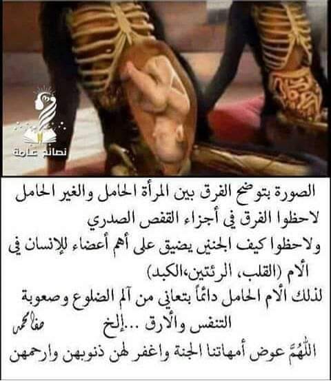 شيماء فرغل لماذا خلقت حواء وآدم نائم أتعلمون السبب ي قال إن الرجل حين يتألم يكره بعكس المرأة التي حين تتألم تزداد عاطفة و حبا فلو خ لقت حواء من