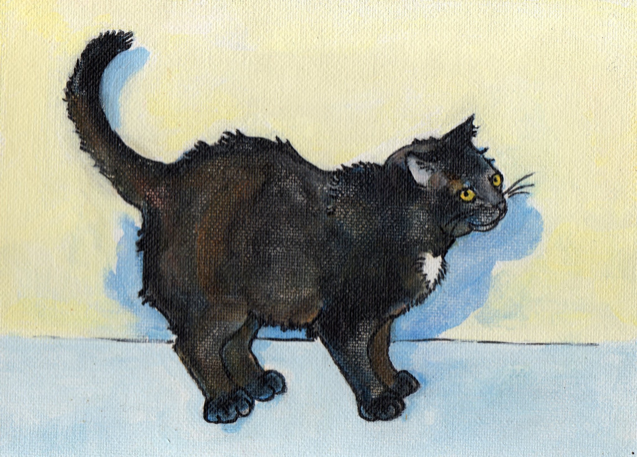 Robin Roraback Children's Book Illustration