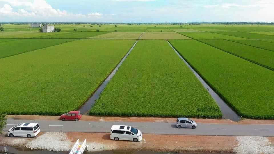 Mada Peneraju Industri Padi Malaysia
