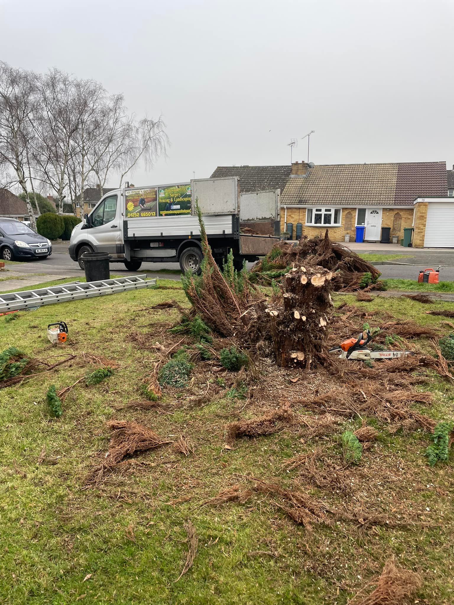 Pinewood Tree Surgery and Fencing | Yateley