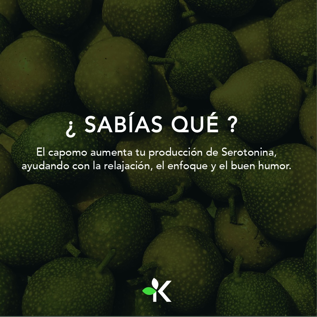 Kapomo - El capomo aumenta la producción de Serotonina